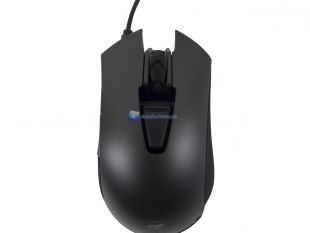 Cougar-Revenger-11