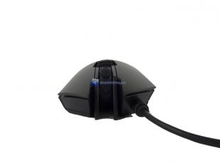Cougar-Revenger-16